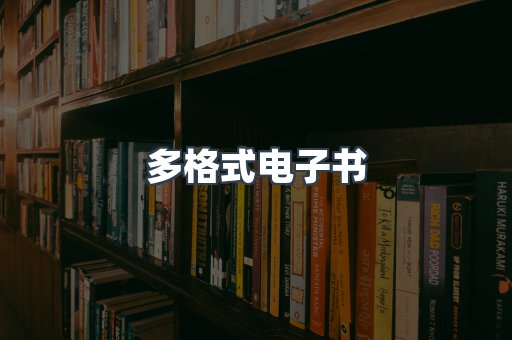 多格式电子书